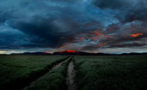 15759_Fotograf_Michael Johansen_Sunset_